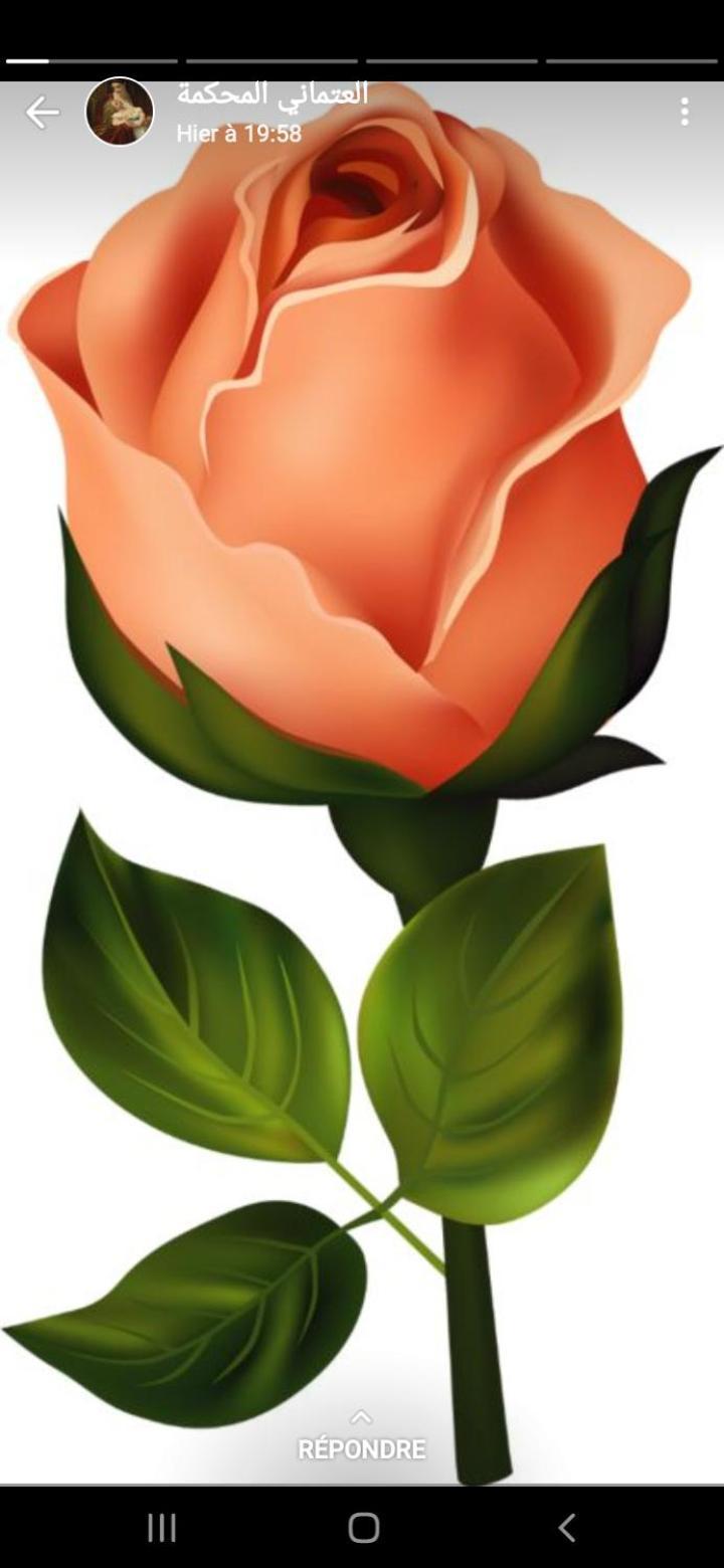 La Rose Blanche Hotel Zaouia Ben Smine Ngoại thất bức ảnh